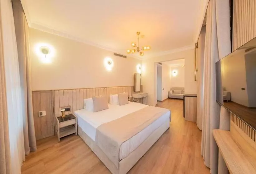 Fotos del hotel Atik Palas:  11