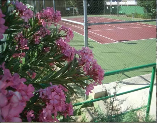 Fotos del hotel Los Balcones De Zafra:  3