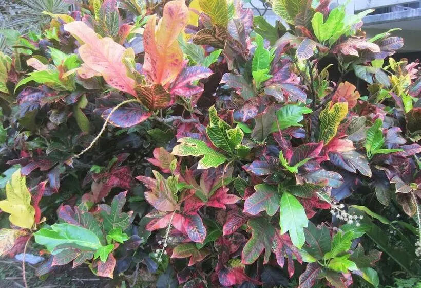 Fotos del hotel Raina Holiday Accommodation:  5