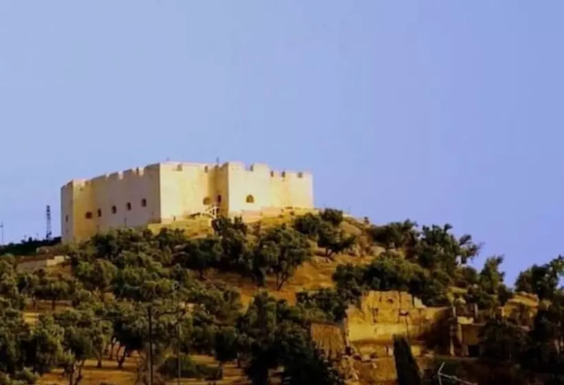 Fotos del hotel Dar Victoria:  4