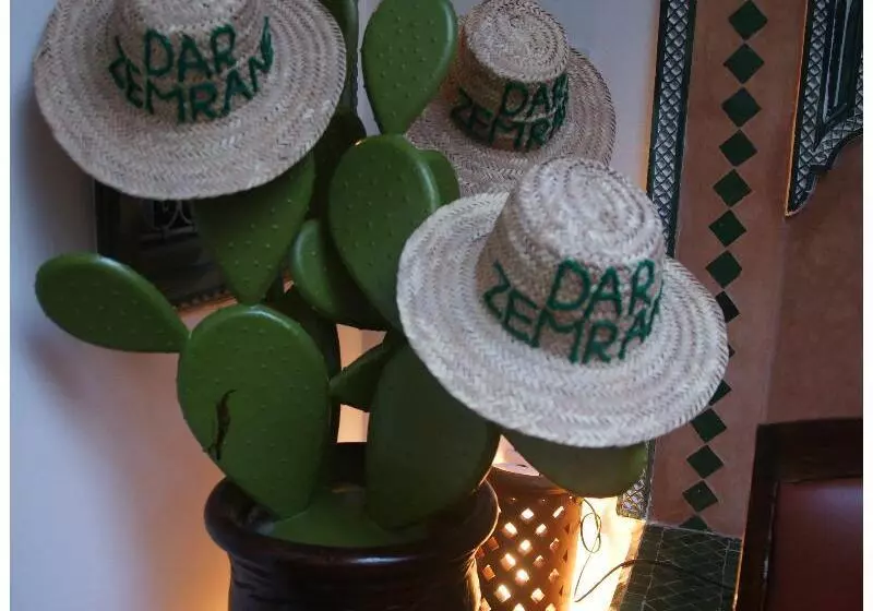 Fotos del hotel Dar Zemrane:  5