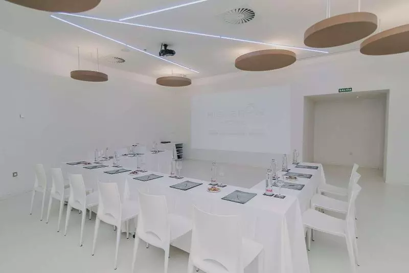 Fotos del hotel Higueron  Malaga, Curio Collection By Hilton:  14