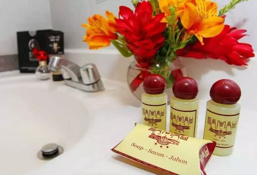 Fotos del hotel Samay:  7