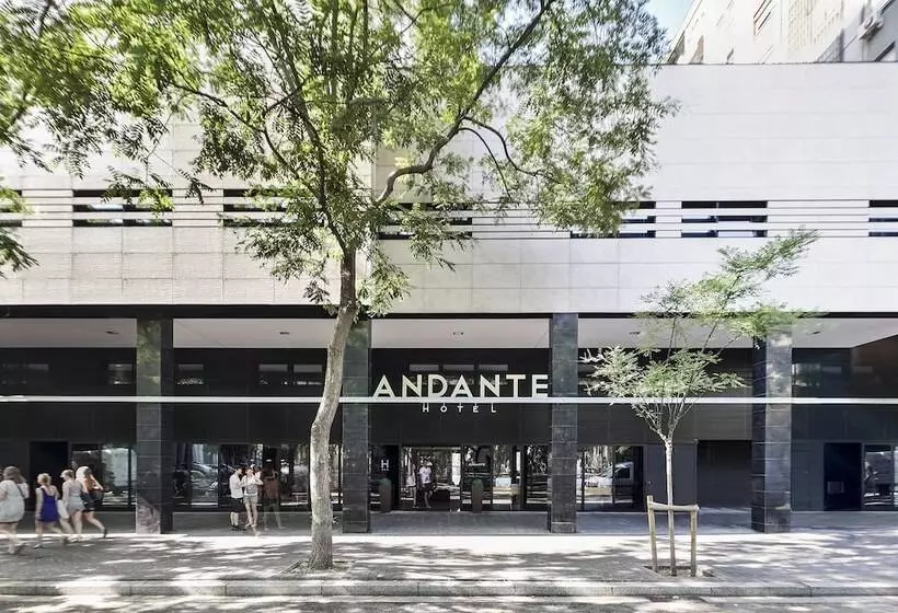 Fotos del hotel Andante:  9