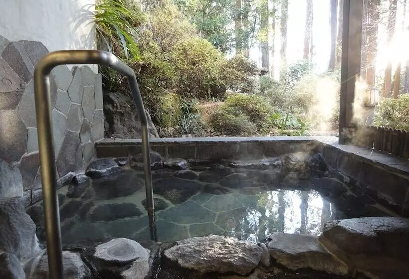 Fotos del hotel Hananoyado Fukuya:  13