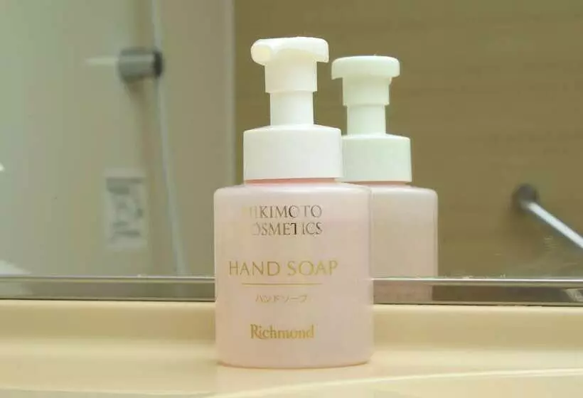 Fotos del hotel Richmond  Narita:  23