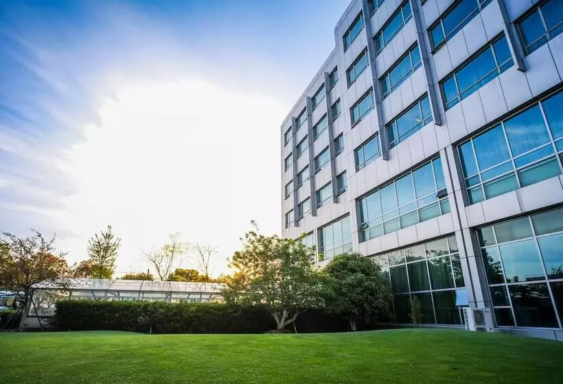 Fotos del hotel Southern Airlines Pearl:  13