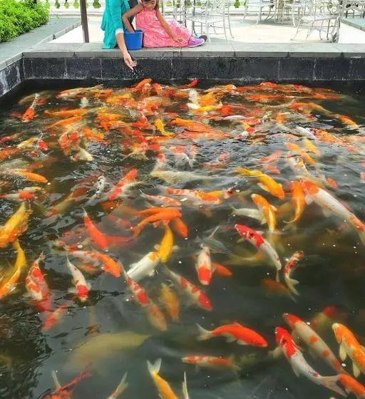 Fotos del hotel Pulai Springs Apartment:  25