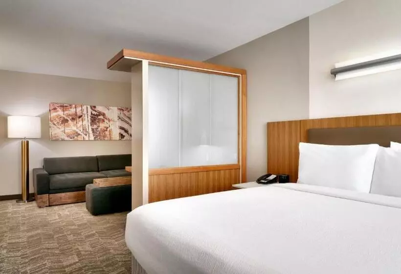 Springhill Suites By Marriott Las Vegas Convention Center