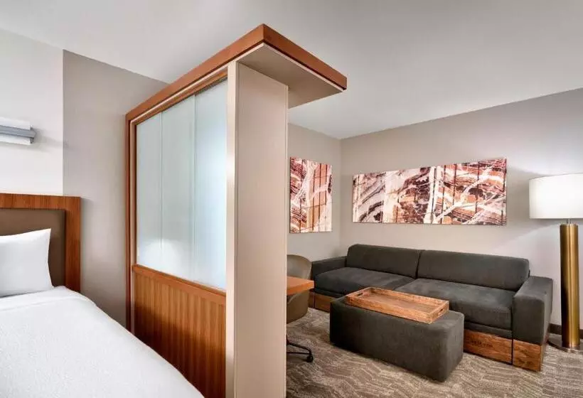 Fotos del hotel Springhill Suites By Marriott Las Vegas Convention Center:  19