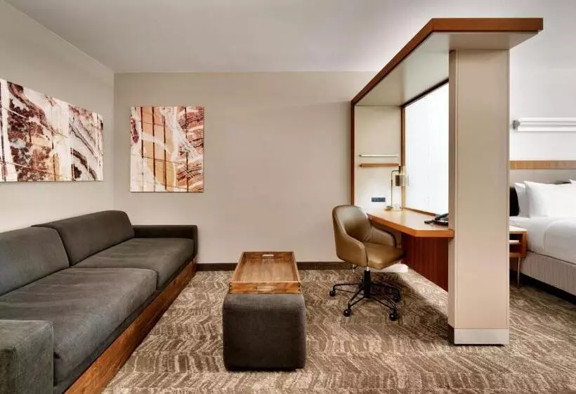 Fotos del hotel Springhill Suites By Marriott Las Vegas Convention Center:  21