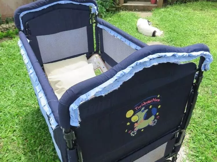 Fotos del hotel Reef Retreat Resort:  3