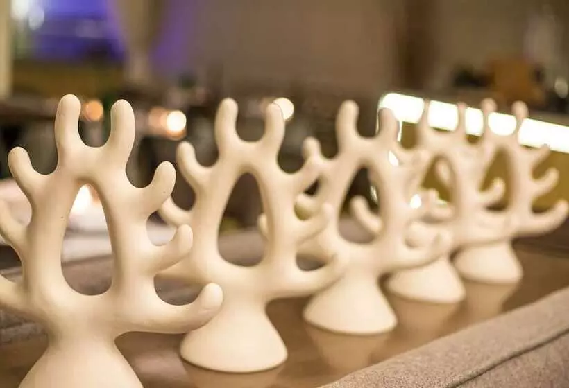 Fotos del hotel Gray Boutique  Casablanca:  6