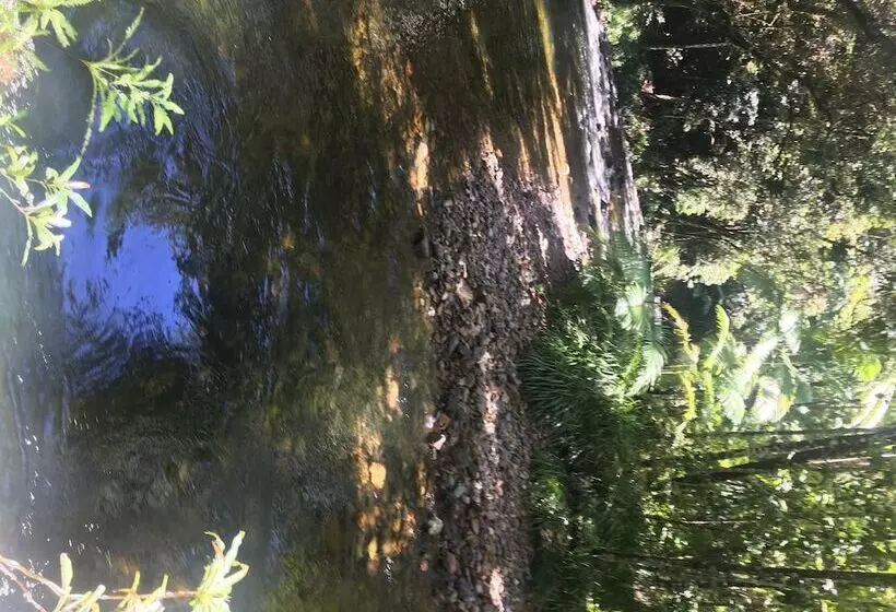 Fotos del hotel Mowbray By The Sea:  13