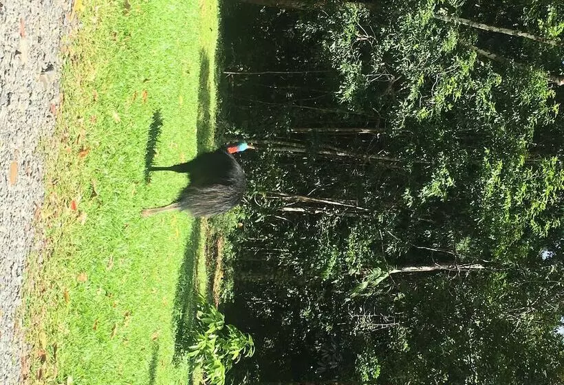 Fotos del hotel Mowbray By The Sea:  10