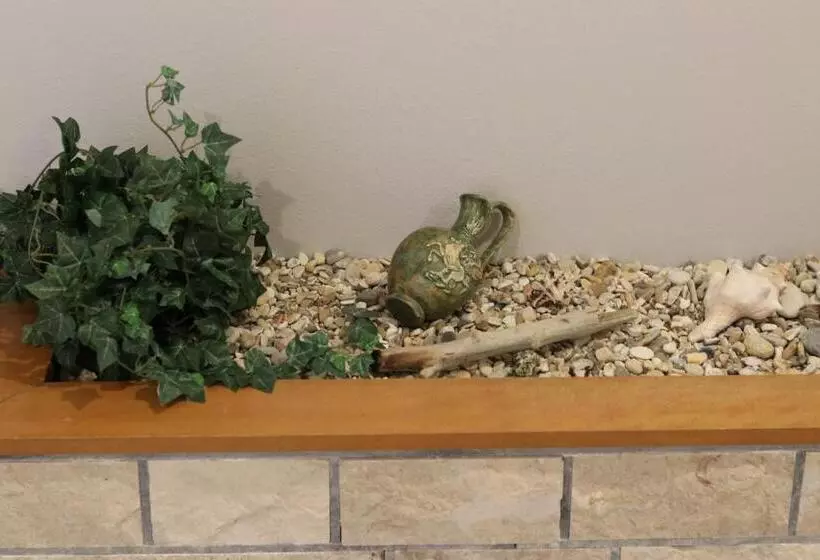 Fotos del hotel Pegasus:  7