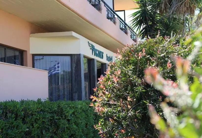 Fotos del hotel Pegasus:  8