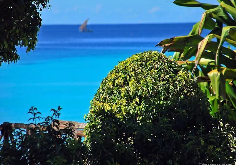 Fotos del hotel My Blue:  7