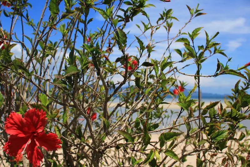 Fotos del hotel Morning Star Resort:  13