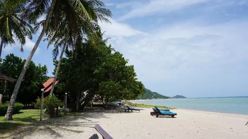 Fotos del hotel Morning Star Resort:  14