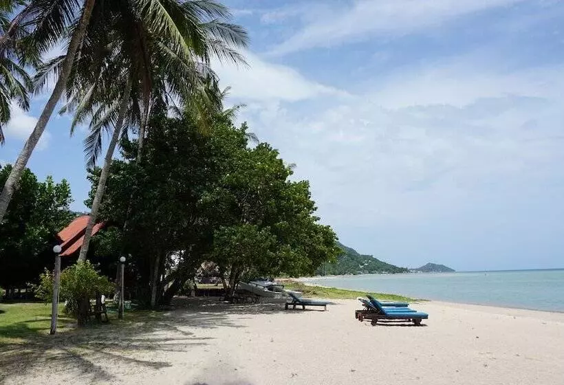 Fotos del hotel Morning Star Resort:  23