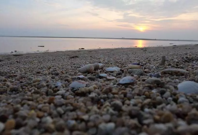 Fotos del hotel Morning Star Resort:  24