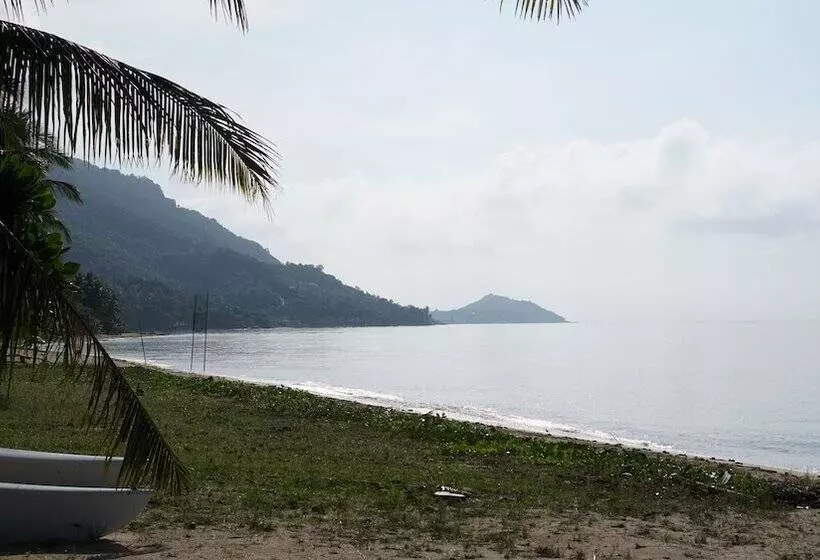 Fotos del hotel Morning Star Resort:  20