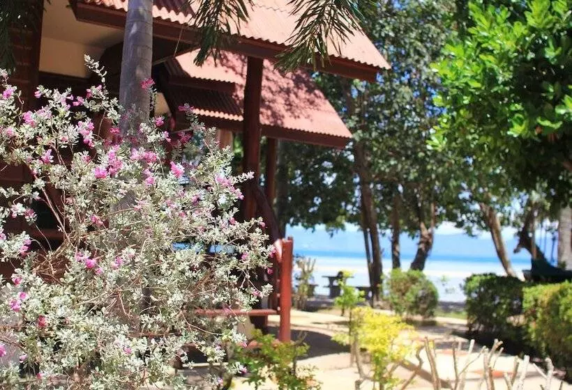 Fotos del hotel Morning Star Resort:  22