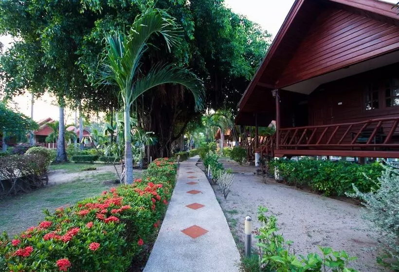 Fotos del hotel Morning Star Resort:  5