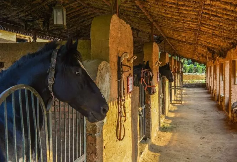 Fotos del hotel The Royal Retreat Resort And Spa:  5