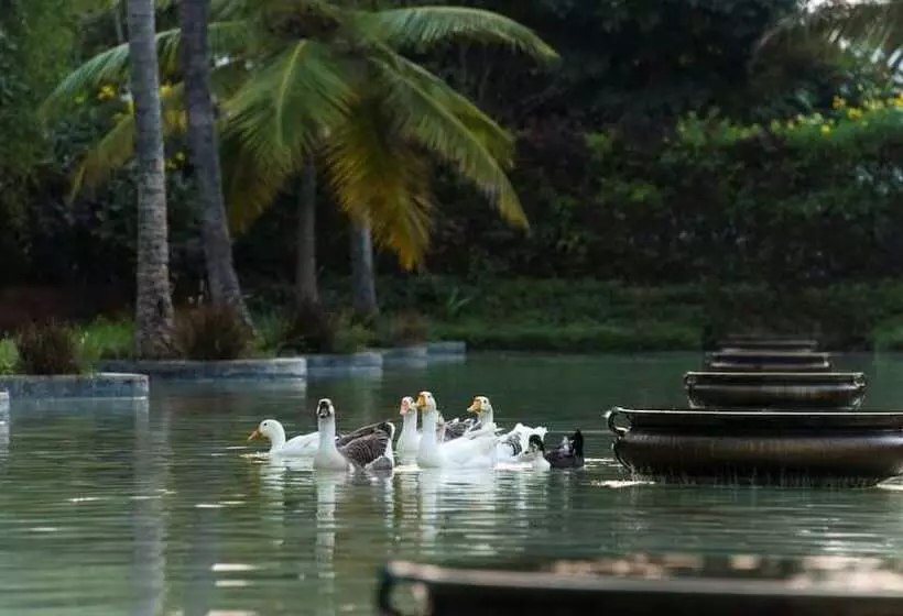 Fotos del hotel The Windflower Resort & Spa, Mysore:  5