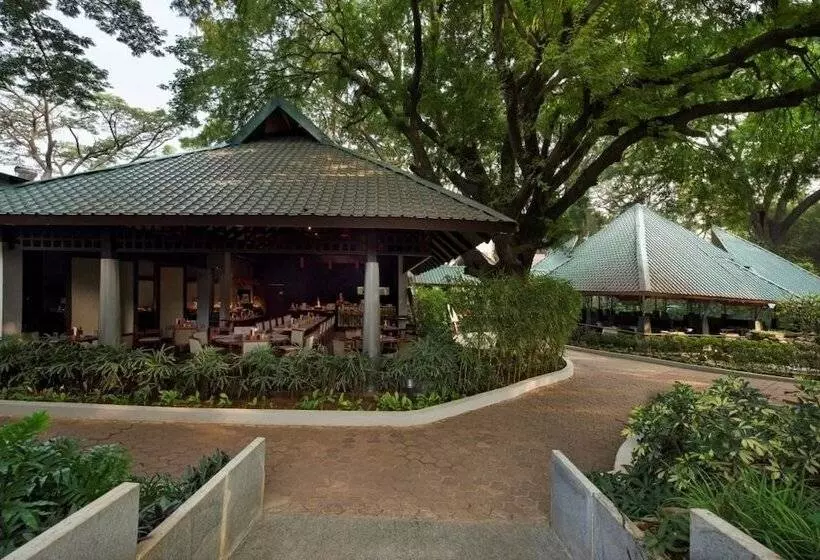 Fotos del hotel The Windflower Resort & Spa, Mysore:  3