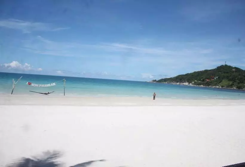 Fotos del hotel Tommy Resort:  17