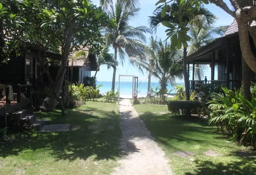 Fotos del hotel Tommy Resort:  24