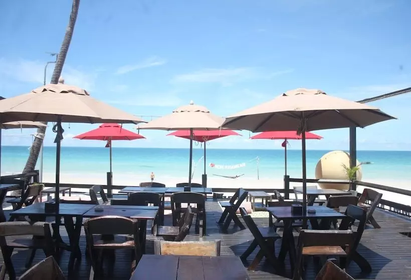 Fotos del hotel Tommy Resort:  18