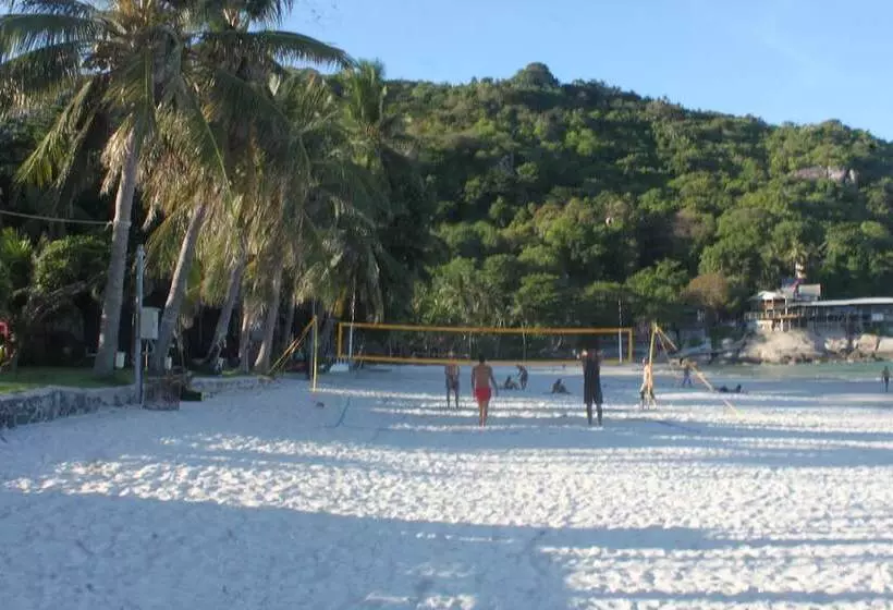 Fotos del hotel Tommy Resort:  2