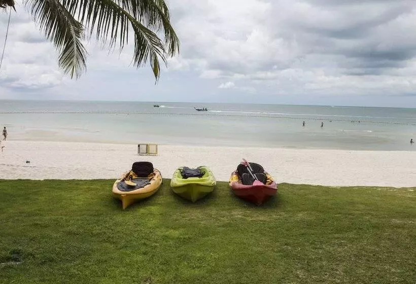 Fotos del hotel Tommy Resort:  25