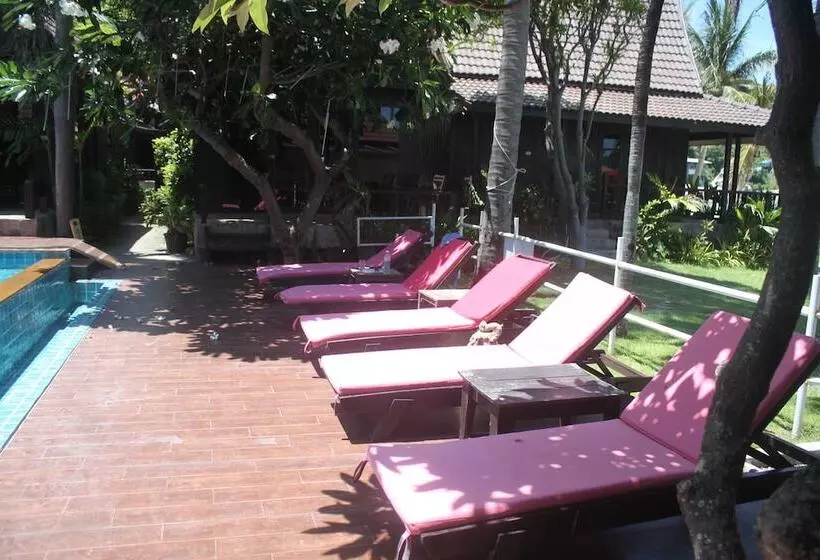 Fotos del hotel Tommy Resort:  11