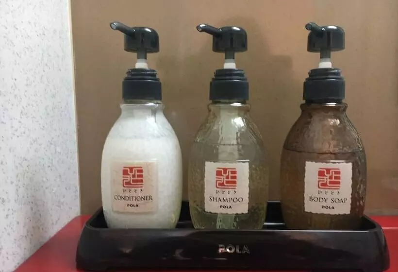 Fotos del hotel Ueno Terminal:  25