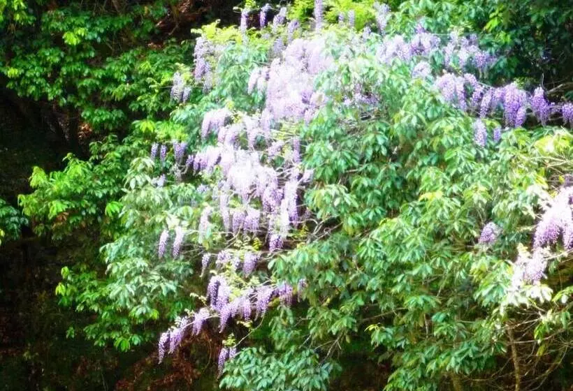 Fotos del hotel Takao Kanko:  16