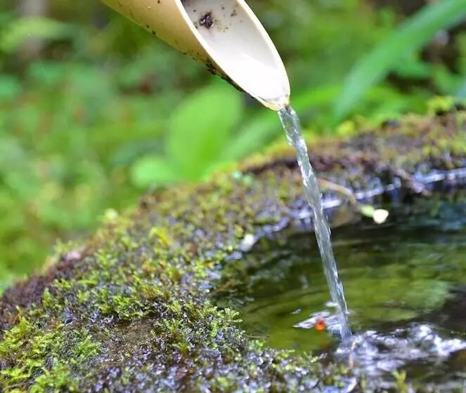 Fotos del hotel Takao Kanko:  6