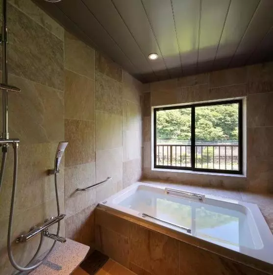 Fotos del hotel Asaya:  2