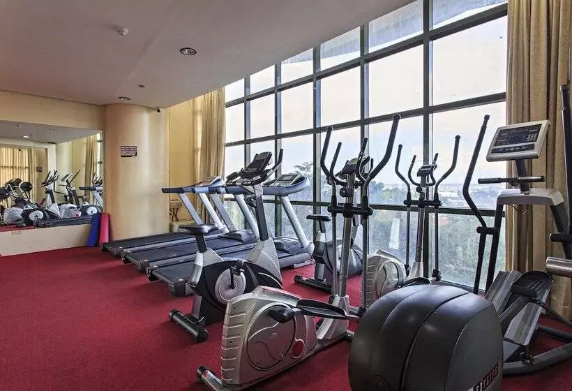 Fotos del hotel Sarrosa International Hotel And Residential Suites:  12