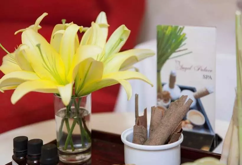 Fotos del hotel Beryl Palace  And Spa:  6