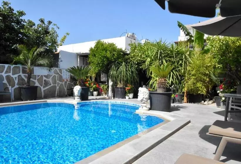 Fotos del hotel Artunc  Bodrum:  2