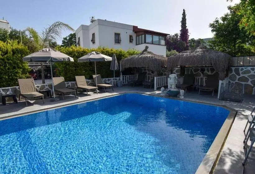 Fotos del hotel Artunc  Bodrum:  20