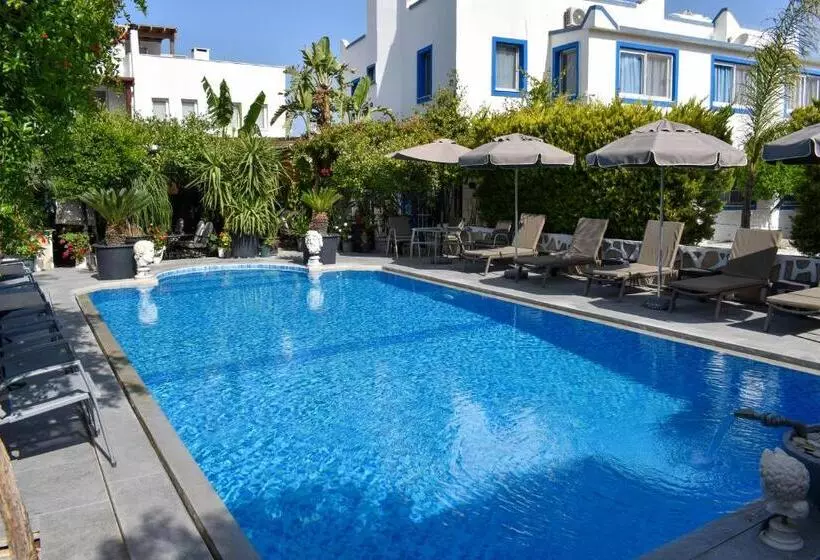 Fotos del hotel Artunc  Bodrum:  17