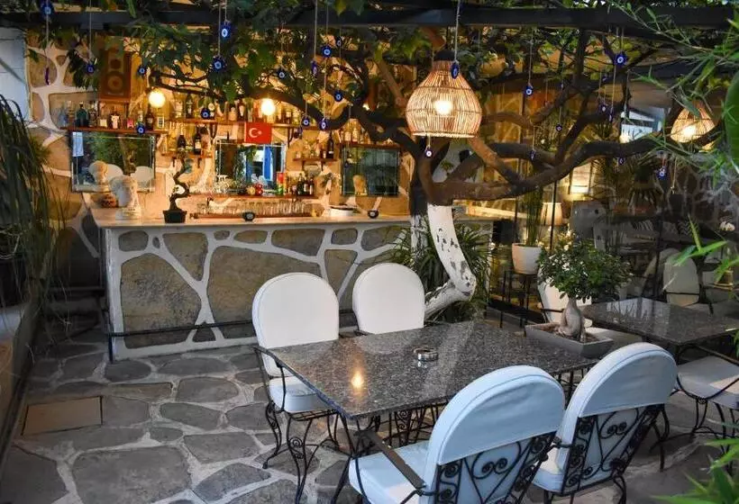 Fotos del hotel Artunc  Bodrum:  4