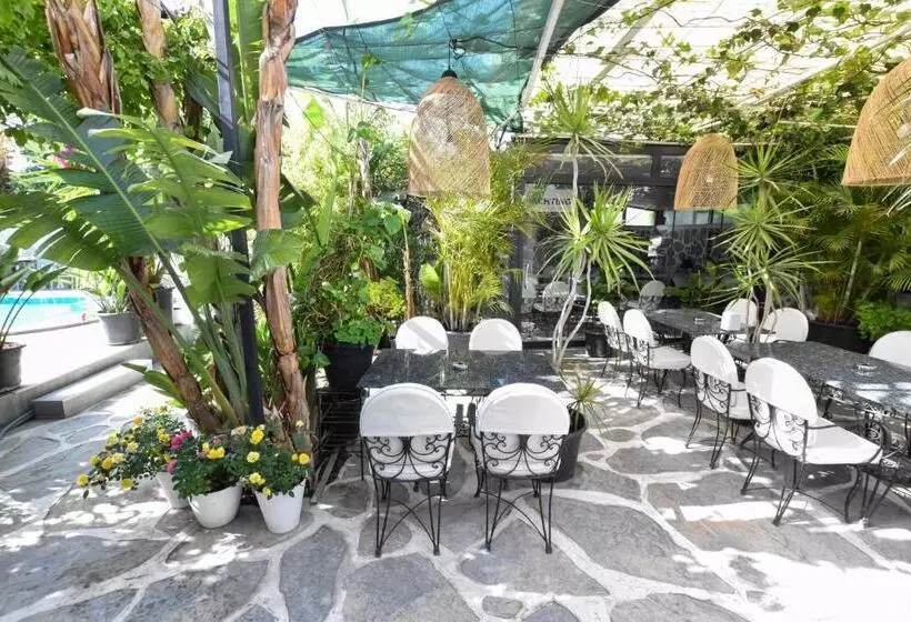 Fotos del hotel Artunc  Bodrum:  18