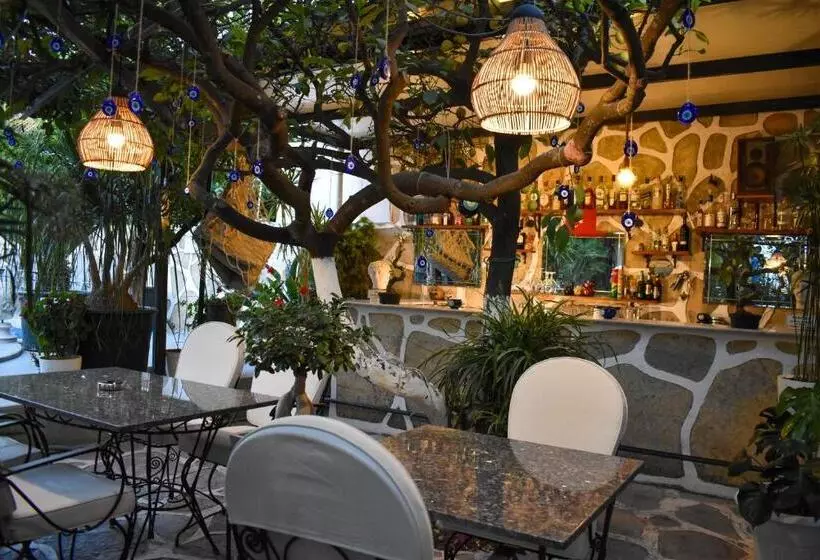 Fotos del hotel Artunc  Bodrum:  24